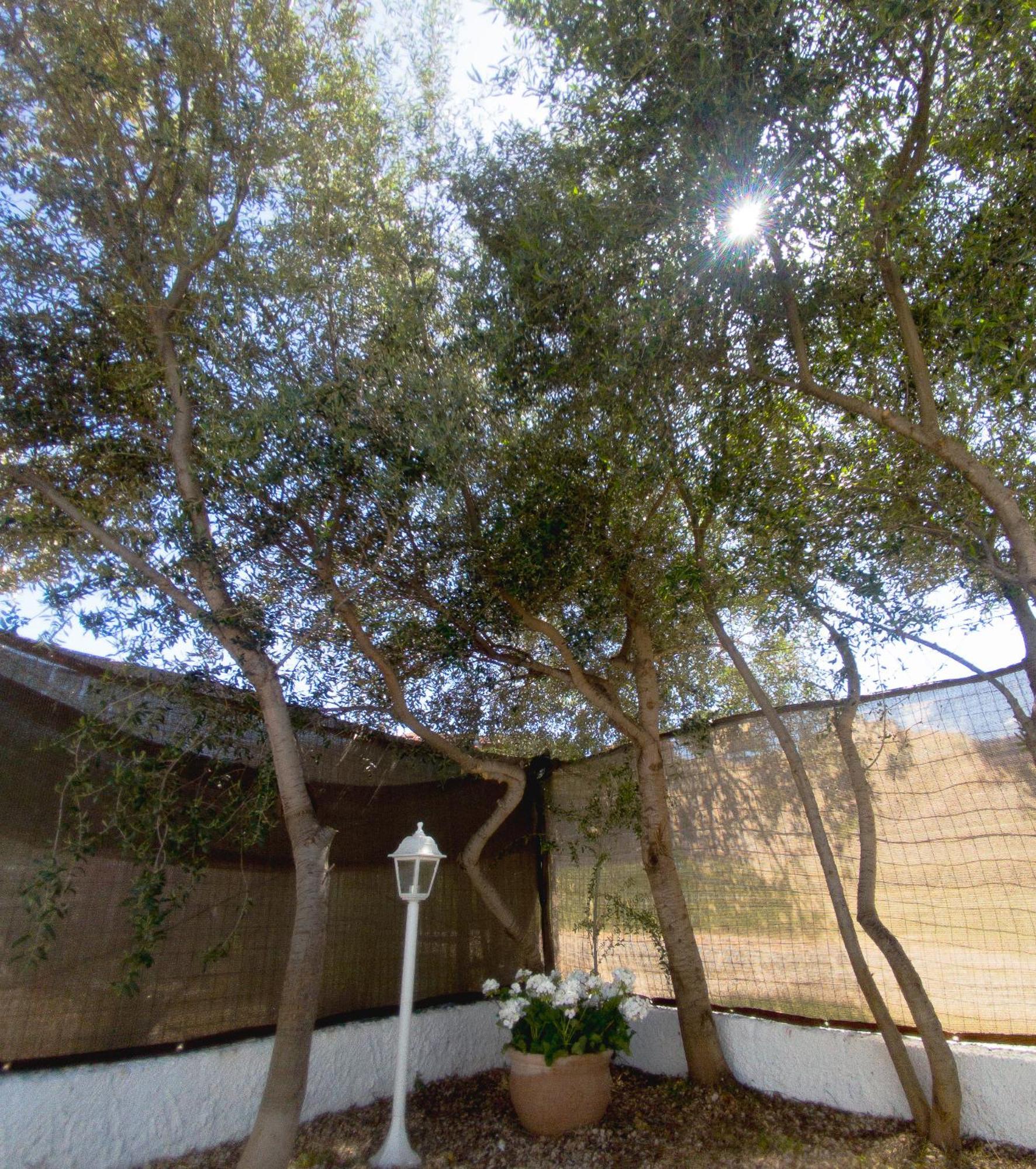 Dimora Mare Apartment San Teodoro  Luaran gambar